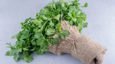 garnishing-instructions-image